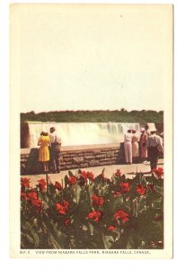 View  from Park, Niagara Falls, Ontario