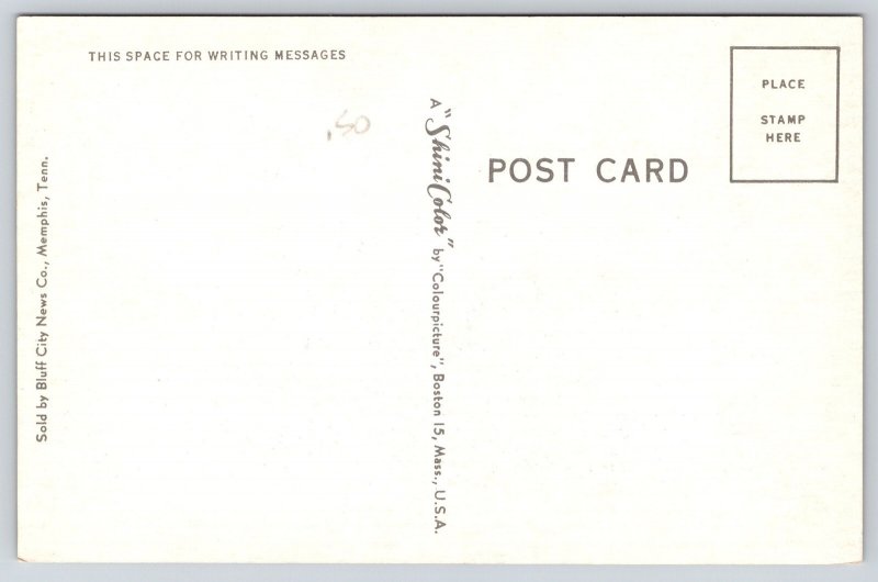 Memphis Tennessee~Sterick Bldg Night View~Illuminated~Gothic Revival~1950s PC