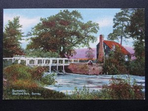 Surrey Guildford SHALFORD PARK Backwater - Old Postcard by Shurrey