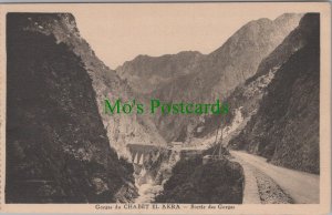 Algeria Postcard - Gorges Du Chabet El Akra, Sortie Des Gorges  DC2630