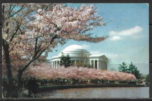 Washington DC - Jefferson Memorial - [DC-283]