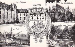 France Nantes Le Chateau La Cathedrale Le Port Le Jardin des Plantes 1966 Photo