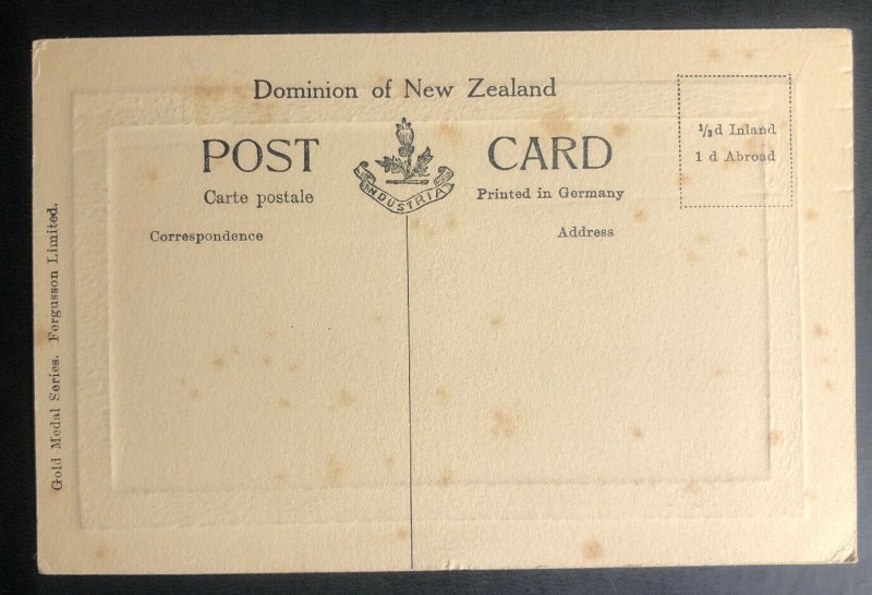 Mint New Zealand Real Picture Postcard Beatrice Maori Guide Rotorua