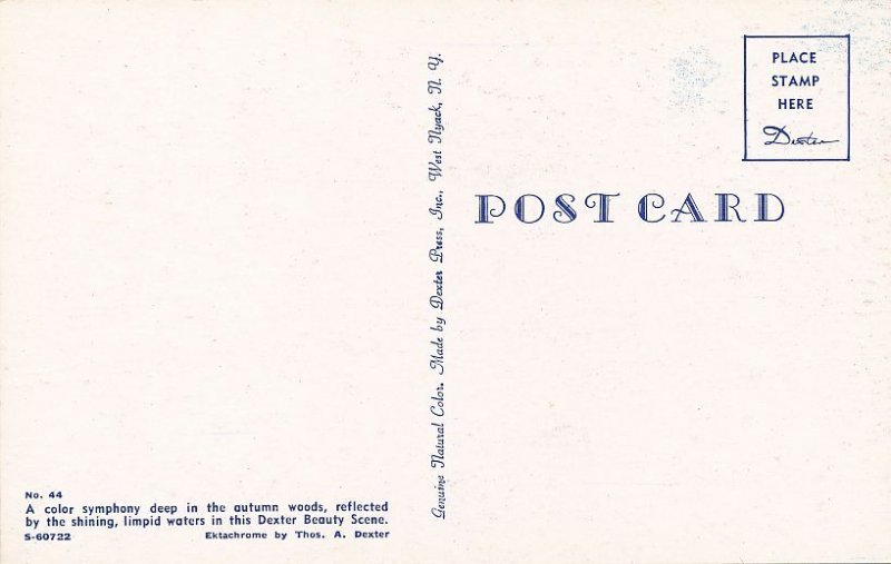 Golden Autumn Woods Reflected in Limpid Waters - Trees