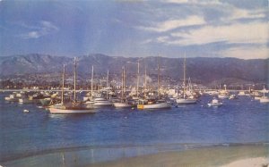 Santa Barbara California Yacht Harbor, Boats  Vtg Chrome Postcard Unused