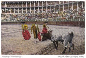 Bull Fight Estocada