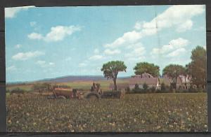 Maine, Presque Isle - Aroostook County Farming Scene - [ME-085]