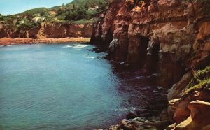 Vintage Postcard Water Sandstone Seven Caves Cormorant Sea Bird La Jolla Calif