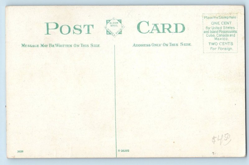 c1910 Broadway Looking North Street Light Building Rochester Minnesota Postcard