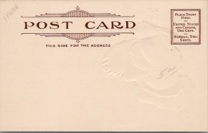 Thanksgiving Beautiful Turkey Embossed Gilded c1906 Postcard W19