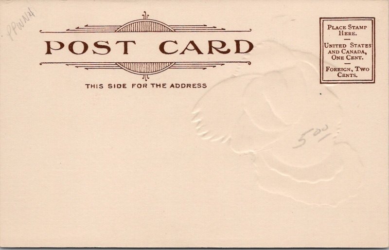 Thanksgiving Beautiful Turkey Embossed Gilded c1906 Postcard W19