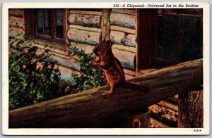 Vtg Colorado CO A Chipmunk Universal Pet In The Rockies 1930s Linen Postcard