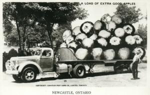 NEWCASTLE CANADA EXAGGERATED APPLES on TRUCK VINTAGE REAL PHOTO POSTCARD RPPC