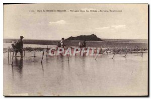 Old Postcard Bay of Mont St Michel Fishermen in Fishing Greves