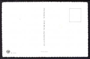 Cats in Hat Shop,Dressed Cats,Mainzer BIN