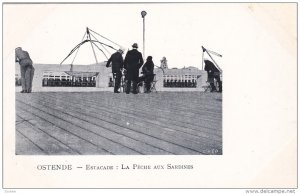 OSTENDE, West Flanders, Belgium, 1900-1910's; Estacade, La Peche Aux Sardines