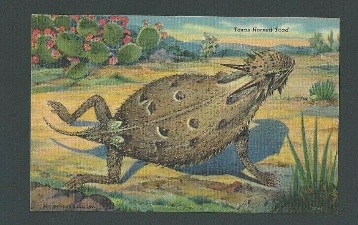 PPC Texas Horned Toad Mint