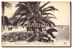 Old Postcard Cannes Alpes Maritimes The Palms Casino Square