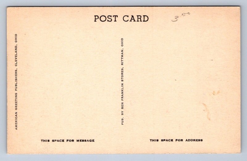 J98/ Rittman Ohio Postcard c1940s Central Park Pavilion 170