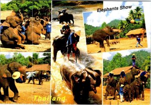 Thailand  ELEPHANT SHOW  Elephants Performing~Trainers  4X6 Animal Postcard