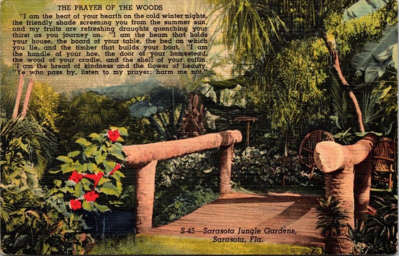 Prayer of Woods Poem Sarasota Jungle Gardens Florida Bridge Tropical Postcard 