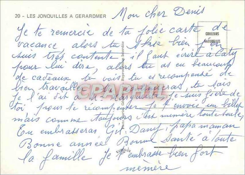 The Modern Postcard Daffodils in Gerardmer