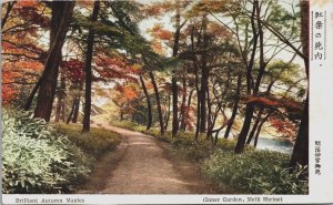 Brilliant Autumn Maples Meiji Shrine Tokyo Vintage Postcard C159