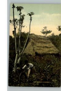 PANAMA Man Wrangles Naked Native Boy c1910 Postcard