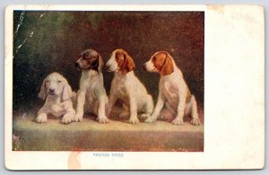 Young Dogs In Line Brown Ear White Body Furs Postcard