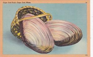 Massachusetts Cape Cod Basket Of Clams Cape Cod Fruit