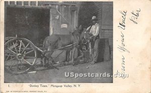 Donkey Team - Mongaup Valley, New York NY  