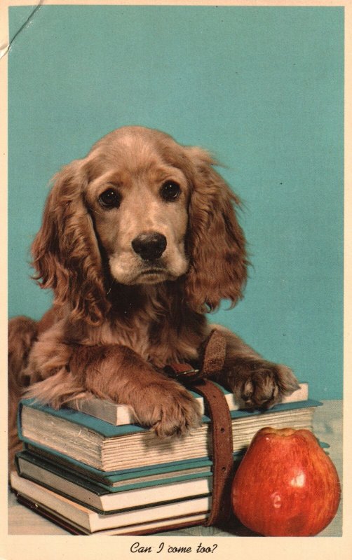 Vintage Postcard Can I Come Too? Puppy Books Apple Animal Pet Dog 