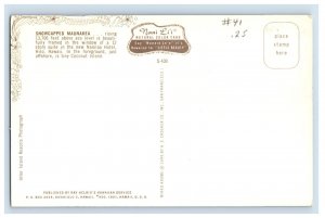 Vintage Snowcapped Maunakea Hilo Hawaii Postcards P166E