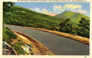 VA - Shenandoah Nat'l Park. Scene on Skyline Drive