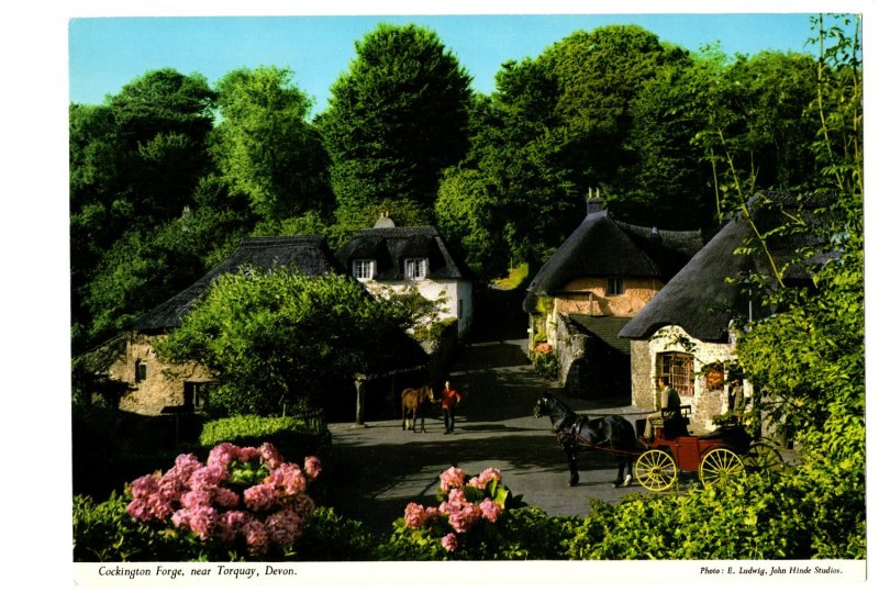 GIANT, Cockington Forge, Torquay, Devon, Horse and Buggy, Vintage Postcard