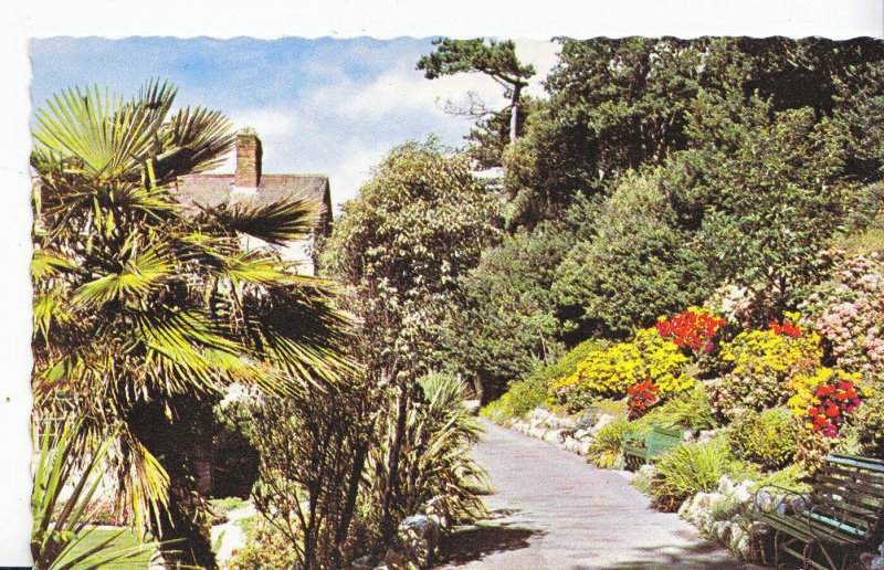 Devon Postcard - Madeira Walk - Exmouth   B322