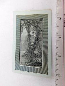 Lovely Engraved Tropical River Forest Scene D Groff & Sons Braid Dealer F29