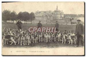 Old Postcard Hunting hounds Chantilly pack has the Promenade Dog Dogs