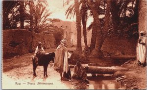 Algeria Ponts Pittoresques Vintage Postcard C185