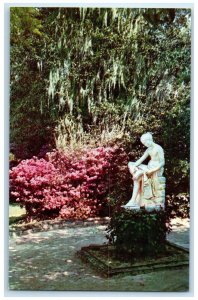 View Of Middleton Gardens Landscape First Camellias Charleston SC Postcard