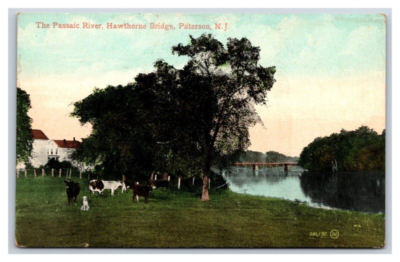 Hawthorne Bridge Paterson NJ New Jersey UNP DB Postcard V11