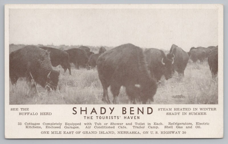 Grand Island NE~Shady Bend Tourists Haven~Cottages w/Toilets~Buffalo Herd~1950s 