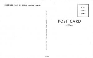 Greetings from Virgin Islands St Croix Postcard