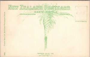 RPPC Postcard The Midland Hotel Wellington New Zealand