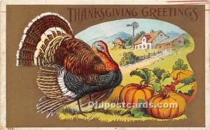  Thanksgiving Greetings Postcard 