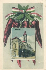Hungary Kalocsa unit of 2 vintage postcards red peppers novelty 