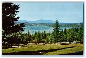 c1960's Looking North Across Rangeley Lake Rangeley Maine ME Unposted Postcard