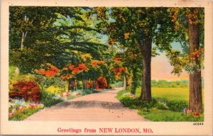 Postcard Greetings from New London, Mo. - NYCE Landscape