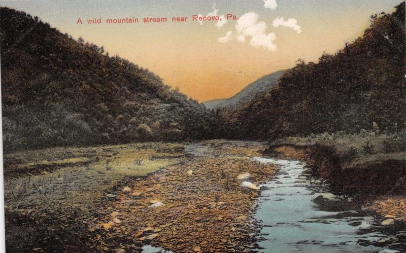 RENOVO PENNSYLVANIA~WILD MOUNTAIN STREAM~SWEELEY'S POSTCARD 1910s