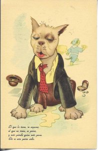 Dog in human dresses Old vintage Spanish black humour, artist drawn, postcard